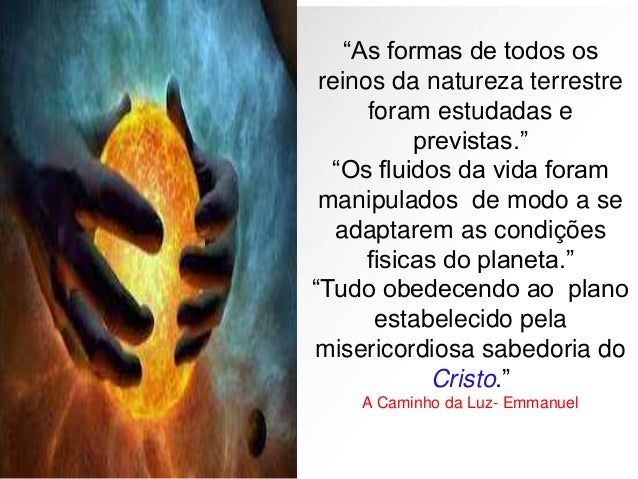 Imagem relacionada