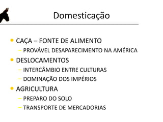 Domesticação
• CAÇA – FONTE DE ALIMENTO
– PROVÁVEL DESAPARECIMENTO NA AMÉRICA
• DESLOCAMENTOS
– INTERCÂMBIO ENTRE CULTURAS
– DOMINAÇÃO DOS IMPÉRIOS
• AGRICULTURA
– PREPARO DO SOLO
– TRANSPORTE DE MERCADORIAS
 