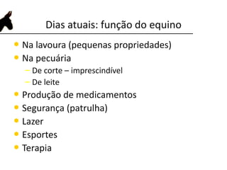 Dias atuais: função do equino
• Na lavoura (pequenas propriedades)
• Na pecuária
– De corte – imprescindível
– De leite
• Produção de medicamentos
• Segurança (patrulha)
• Lazer
• Esportes
• Terapia
 