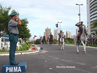 Patrulha montada
 