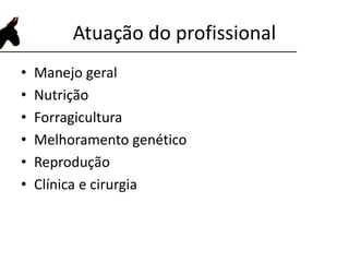 Atuação do profissional
• Manejo geral
• Nutrição
• Forragicultura
• Melhoramento genético
• Reprodução
• Clínica e cirurgia
 