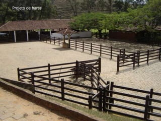 Projeto de haras
 