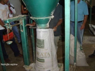 Nutrição eqüina
 