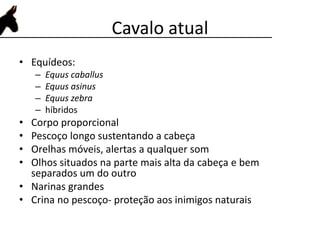 Cavalo atual
• Equídeos:
– Equus caballus
– Equus asinus
– Equus zebra
– híbridos
• Corpo proporcional
• Pescoço longo sustentando a cabeça
• Orelhas móveis, alertas a qualquer som
• Olhos situados na parte mais alta da cabeça e bem
separados um do outro
• Narinas grandes
• Crina no pescoço- proteção aos inimigos naturais
 
