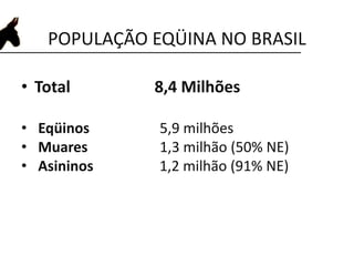 POPULAÇÃO EQÜINA NO BRASIL
• Total 8,4 Milhões
• Eqüinos 5,9 milhões
• Muares 1,3 milhão (50% NE)
• Asininos 1,2 milhão (91% NE)
Fonte: Estudo do complexo do agronegócio cavalo no Brasil (2006)
 