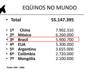 EQÜINOS NO MUNDO
• Total 55.147.395
• 1º China 7.902.310
• 2º México 6.260.000
• 3º Brasil 5.900.700
• 4º EUA 5.300.000
• 5º Argentina 3.655.000
• 6º Colômbia 2.720.000
• 7º Mongólia 2.100.000
Fonte: FAO - 2006
 