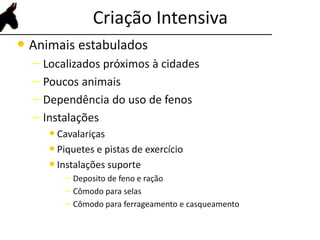 Criação Intensiva
• Animais estabulados
– Localizados próximos à cidades
– Poucos animais
– Dependência do uso de fenos
– Instalações
• Cavalariças
• Piquetes e pistas de exercício
• Instalações suporte
– Deposito de feno e ração
– Cômodo para selas
– Cômodo para ferrageamento e casqueamento
 