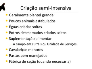 Criação semi-intensiva
• Geralmente plantel grande
• Poucos animais estabulados
• Éguas criadas soltas
• Potros desmamados criados soltos
• Suplementação alimentar
– A campo em currais ou Unidade de Serviços
• Cavalariças menores
• Pastos bem manejados
• Fábrica de ração (quando necessária)
 