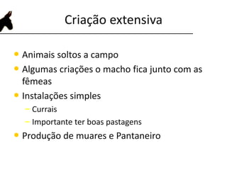 Criação extensiva
• Animais soltos a campo
• Algumas criações o macho fica junto com as
fêmeas
• Instalações simples
– Currais
– Importante ter boas pastagens
• Produção de muares e Pantaneiro
 