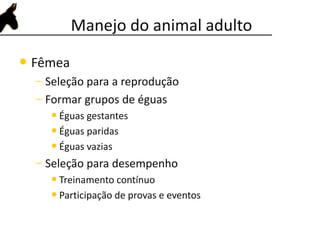 Manejo do animal adulto
• Fêmea
– Seleção para a reprodução
– Formar grupos de éguas
• Éguas gestantes
• Éguas paridas
• Éguas vazias
– Seleção para desempenho
• Treinamento contínuo
• Participação de provas e eventos
 