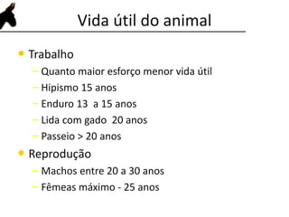 Vida útil do animal
• Trabalho
– Quanto maior esforço menor vida útil
– Hipismo 15 anos
– Enduro 13 a 15 anos
– Lida com gado 20 anos
– Passeio > 20 anos
• Reprodução
– Machos entre 20 a 30 anos
– Fêmeas máximo - 25 anos
 