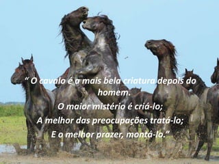 “ O cavalo é a mais bela criatura depois do
homem.
O maior mistério é criá-lo;
A melhor das preocupações tratá-lo;
E o melhor prazer, montá-lo.”
 