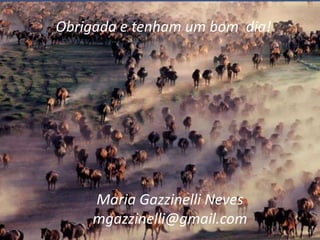 Obrigada e tenham um bom dia!
Maria Gazzinelli Neves
mgazzinelli@gmail.com
 