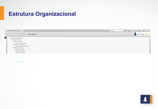Estrutura Organizacional

 