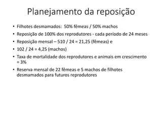 Planejamento da reposição
• Filhotes desmamados: 50% fêmeas / 50% machos
• Reposição de 100% dos reprodutores - cada período de 24 meses
• Reposição mensal – 510 / 24 = 21,25 (fêmeas) e
• 102 / 24 = 4,25 (machos)
• Taxa de mortalidade dos reprodutores e animais em crescimento
= 3%
• Reserva mensal de 22 fêmeas e 5 machos de filhotes
desmamados para futuros reprodutores
 