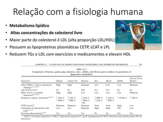 Relação com a fisiologia humana
• Metabolismo lipídico
• Altas concentrações de colesterol livre
• Maior parte do colesterol é LDL (alta proporção LDL/HDL)
• Possuem as lipoproteínas plasmáticas CETP, LCAT e LPL
• Reduzem TGs e LDL com exercícios e medicamentos e elevam HDL
 