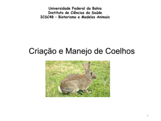 Universidade Federal da Bahia
Instituto de Ciências da Saúde
ICSC48 – Bioterismo e Modelos Animais
Criação e Manejo de Coelhos
1
 