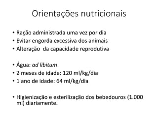Orientações nutricionais
• Ração administrada uma vez por dia
• Evitar engorda excessiva dos animais
• Alteração da capacidade reprodutiva
• Água: ad libitum
• 2 meses de idade: 120 ml/kg/dia
• 1 ano de idade: 64 ml/kg/dia
• Higienização e esterilização dos bebedouros (1.000
ml) diariamente.
 