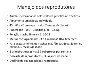 Manejo dos reprodutores
• Animais selecionados pelos valores genéticos e estéticos
• Alojamento em gaiolas individuais
• 45 x 60 x 40 cm (a partir dos 2 meses de idade)
• Puberdade - 150 – 180 dias (3,0 – 3,5 Kg)
• Relação macho:fêmea – 1: 10-12
• Menor consaguinidade - 3 a 4 machos/ 10 a 12 fêmeas
• Para acasalamento, os machos e as fêmeas deverão ter, no
mínimo, 6 meses de idade
• 3 primeiros meses – até 2 coberturas por semana
• Descarte de reprodutores – 3 - 4 anos de idade
• Declínio de sua capacidade reprodutiva.
 