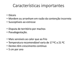 Características importantes
• Dóceis
• Mordem ou arranham em razão da contenção incorreta
• Susceptíveis ao estresse
• Disputa de território por machos
• Pseudogestação.
• Mais sensíveis ao calor que ao frio
• Temperatura recomendável varia de 17 ºC a 21 ºC
• Dentes têm crescimento contínuo
• 5 cm por ano
 