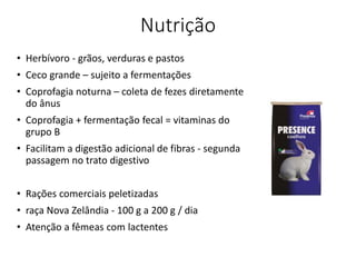 Nutrição
• Herbívoro - grãos, verduras e pastos
• Ceco grande – sujeito a fermentações
• Coprofagia noturna – coleta de fezes diretamente
do ânus
• Coprofagia + fermentação fecal = vitaminas do
grupo B
• Facilitam a digestão adicional de fibras - segunda
passagem no trato digestivo
• Rações comerciais peletizadas
• raça Nova Zelândia - 100 g a 200 g / dia
• Atenção a fêmeas com lactentes
 