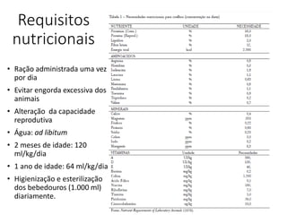 Requisitos
nutricionais
• Ração administrada uma vez
por dia
• Evitar engorda excessiva dos
animais
• Alteração da capacidade
reprodutiva
• Água: ad libitum
• 2 meses de idade: 120
ml/kg/dia
• 1 ano de idade: 64 ml/kg/dia
• Higienização e esterilização
dos bebedouros (1.000 ml)
diariamente.
 