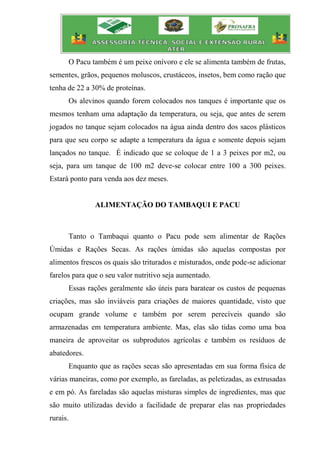 O Pacu também é um peixe onívoro e ele se alimenta também de frutas,
sementes, grãos, pequenos moluscos, crustáceos, insetos, bem como ração que
tenha de 22 a 30% de proteínas.
Os alevinos quando forem colocados nos tanques é importante que os
mesmos tenham uma adaptação da temperatura, ou seja, que antes de serem
jogados no tanque sejam colocados na água ainda dentro dos sacos plásticos
para que seu corpo se adapte a temperatura da água e somente depois sejam
lançados no tanque. É indicado que se coloque de 1 a 3 peixes por m2, ou
seja, para um tanque de 100 m2 deve-se colocar entre 100 a 300 peixes.
Estará ponto para venda aos dez meses.
ALIMENTAÇÃO DO TAMBAQUI E PACU
Tanto o Tambaqui quanto o Pacu pode sem alimentar de Rações
Úmidas e Rações Secas. As rações úmidas são aquelas compostas por
alimentos frescos os quais são triturados e misturados, onde pode-se adicionar
farelos para que o seu valor nutritivo seja aumentado.
Essas rações geralmente são úteis para baratear os custos de pequenas
criações, mas são inviáveis para criações de maiores quantidade, visto que
ocupam grande volume e também por serem perecíveis quando são
armazenadas em temperatura ambiente. Mas, elas são tidas como uma boa
maneira de aproveitar os subprodutos agrícolas e também os resíduos de
abatedores.
Enquanto que as rações secas são apresentadas em sua forma física de
várias maneiras, como por exemplo, as fareladas, as peletizadas, as extrusadas
e em pó. As fareladas são aquelas misturas simples de ingredientes, mas que
são muito utilizadas devido a facilidade de preparar elas nas propriedades
rurais.
 