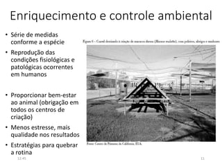 Enriquecimento e controle ambiental
• Série de medidas
conforme a espécie
• Reprodução das
condições fisiológicas e
patológicas ocorrentes
em humanos
• Proporcionar bem-estar
ao animal (obrigação em
todos os centros de
criação)
• Menos estresse, mais
qualidade nos resultados
• Estratégias para quebrar
a rotina
12:45 11
 
