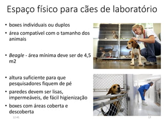 Espaço físico para cães de laboratório
• boxes individuais ou duplos
• área compatível com o tamanho dos
animais
• Beagle - área mínima deve ser de 4,5
m2
• altura suficiente para que
pesquisadores fiquem de pé
• paredes devem ser lisas,
impermeáveis, de fácil higienização
• boxes com áreas coberta e
descoberta
12:45 17
 