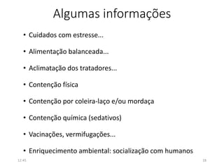 Algumas informações
• Cuidados com estresse...
• Alimentação balanceada...
• Aclimatação dos tratadores...
• Contenção física
• Contenção por coleira-laço e/ou mordaça
• Contenção química (sedativos)
• Vacinações, vermifugações...
• Enriquecimento ambiental: socialização com humanos
12:45 18
 