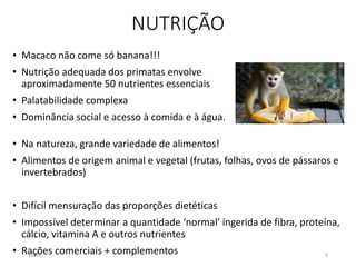 NUTRIÇÃO
• Macaco não come só banana!!!
• Nutrição adequada dos primatas envolve
aproximadamente 50 nutrientes essenciais
• Palatabilidade complexa
• Dominância social e acesso à comida e à água.
• Na natureza, grande variedade de alimentos!
• Alimentos de origem animal e vegetal (frutas, folhas, ovos de pássaros e
invertebrados)
• Difícil mensuração das proporções dietéticas
• Impossível determinar a quantidade ‘normal’ ingerida de fibra, proteína,
cálcio, vitamina A e outros nutrientes
• Rações comerciais + complementos12:45 5
 