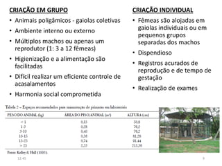 CRIAÇÃO EM GRUPO
• Animais poligâmicos - gaiolas coletivas
• Ambiente interno ou externo
• Múltiplos machos ou apenas um
reprodutor (1: 3 a 12 fêmeas)
• Higienização e a alimentação são
facilitadas
• Difícil realizar um eficiente controle de
acasalamentos
• Harmonia social comprometida
CRIAÇÃO INDIVIDUAL
• Fêmeas são alojadas em
gaiolas individuais ou em
pequenos grupos
separadas dos machos
• Dispendioso
• Registros acurados de
reprodução e de tempo de
gestação
• Realização de exames
12:45 9
 