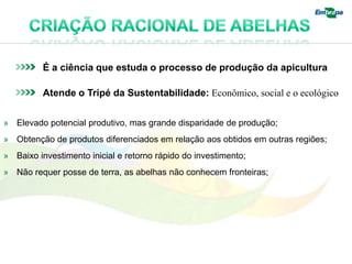 É a ciência que estuda o processo de produção da apicultura

          Atende o Tripé da Sustentabilidade: Econômico, social e o ecológico


» Elevado potencial produtivo, mas grande disparidade de produção;
» Obtenção de produtos diferenciados em relação aos obtidos em outras regiões;
» Baixo investimento inicial e retorno rápido do investimento;
» Não requer posse de terra, as abelhas não conhecem fronteiras;
 