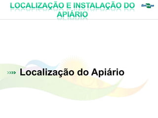 Localização do Apiário
 