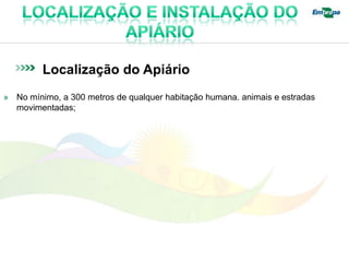 Localização do Apiário
» No mínimo, a 300 metros de qualquer habitação humana. animais e estradas
  movimentadas;
 