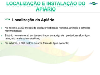 Localização do Apiário
» No mínimo, a 300 metros de qualquer habitação humana. animais e estradas
  movimentadas;
» Situá-lo no meio rural, em terreno limpo, ao abrigo de predadores (formigas,
  tatus, etc.) e de outras abelhas;
» No máximo, a 300 metros de uma fonte de água corrente;
 