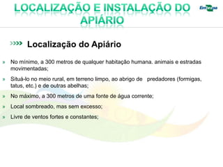 Localização do Apiário
» No mínimo, a 300 metros de qualquer habitação humana. animais e estradas
  movimentadas;
» Situá-lo no meio rural, em terreno limpo, ao abrigo de predadores (formigas,
  tatus, etc.) e de outras abelhas;
» No máximo, a 300 metros de uma fonte de água corrente;
» Local sombreado, mas sem excesso;
» Livre de ventos fortes e constantes;
 