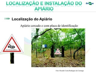 Localização do Apiário
    Apiário cercado e com placa de identificação




                               Foto: Ricardo Costa Rodrigues de Camargo
 