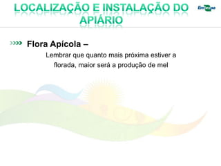 Flora Apícola –
    Lembrar que quanto mais próxima estiver a
      florada, maior será a produção de mel
 