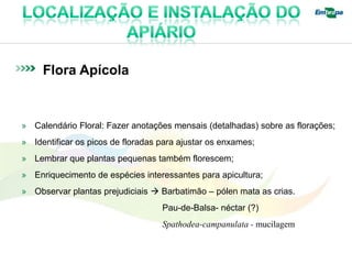 Flora Apícola


» Calendário Floral: Fazer anotações mensais (detalhadas) sobre as florações;
» Identificar os picos de floradas para ajustar os enxames;
» Lembrar que plantas pequenas também florescem;
» Enriquecimento de espécies interessantes para apicultura;
» Observar plantas prejudiciais  Barbatimão – pólen mata as crias.
                                   Pau-de-Balsa- néctar (?)
                                   Spathodea-campanulata - mucilagem
 