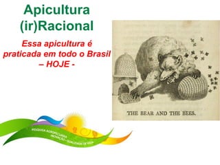Apicultura
    (ir)Racional
     Essa apicultura é
praticada em todo o Brasil
         – HOJE -
 
