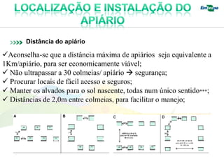 Distância do apiário

Aconselha-se que a distância máxima de apiários seja equivalente a
1Km/apiário, para ser economicamente viável;
 Não ultrapassar a 30 colmeias/ apiário  segurança;
 Procurar locais de fácil acesso e seguros;
 Manter os alvados para o sol nascente, todas num único sentido***;
 Distâncias de 2,0m entre colmeias, para facilitar o manejo;
 