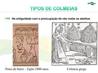 Na antiguidade com a preocupação de não matar as abelhas




Potes de barro – Egito 2400 anos           Colmeia grega
 