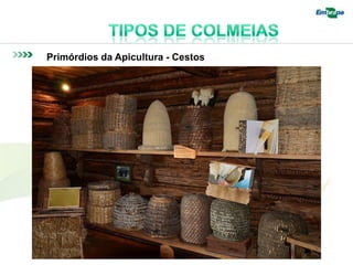 Primórdios da Apicultura - Cestos
 