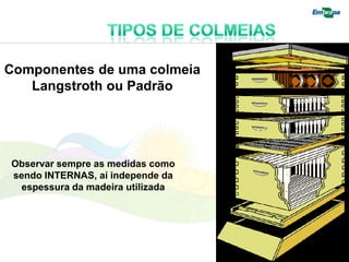 Componentes de uma colmeia
   Langstroth ou Padrão




Observar sempre as medidas como
sendo INTERNAS, aí independe da
  espessura da madeira utilizada
 