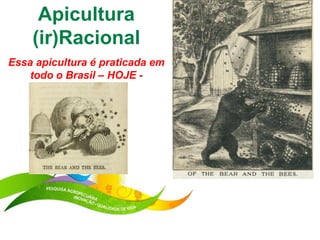 Apicultura
    (ir)Racional
Essa apicultura é praticada em
    todo o Brasil – HOJE -
 