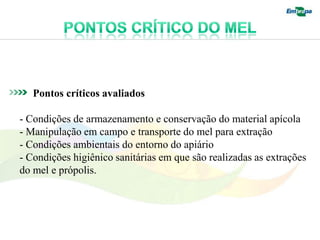 Pontos críticos avaliados

- Condições de armazenamento e conservação do material apícola
- Manipulação em campo e transporte do mel para extração
- Condições ambientais do entorno do apiário
- Condições higiênico sanitárias em que são realizadas as extrações
do mel e própolis.
 