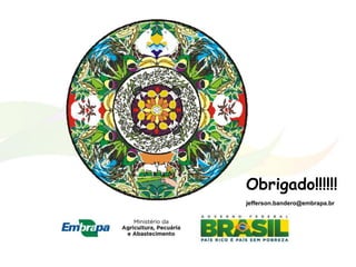 Obrigado!!!!!!
jefferson.bandero@embrapa.br
 
