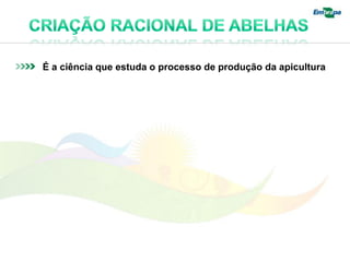 É a ciência que estuda o processo de produção da apicultura
 