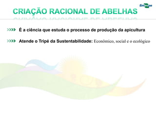 É a ciência que estuda o processo de produção da apicultura

Atende o Tripé da Sustentabilidade: Econômico, social e o ecológico
 